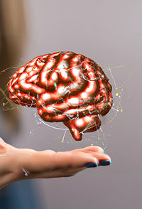 Digital brain image  on a hand with a gray background